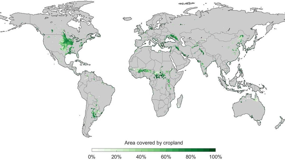 Bu Harita, Dünyadaki En Verimli Tarım Arazilerini Gösteriyor: Türkiye, Sandığımız Gibi Bir ’Tarım Cenneti’ mi?