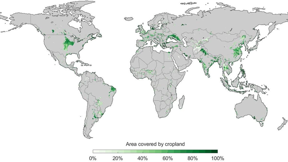 Bu Harita, Dünyadaki En Verimli Tarım Arazilerini Gösteriyor: Türkiye, Sandığımız Gibi Bir ’Tarım Cenneti’ mi?