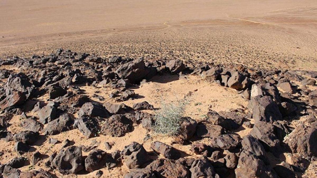 Suudi Arabistan’da 200.000 Yıl Önce Kullanılan Taş Aletler Keşfedildi