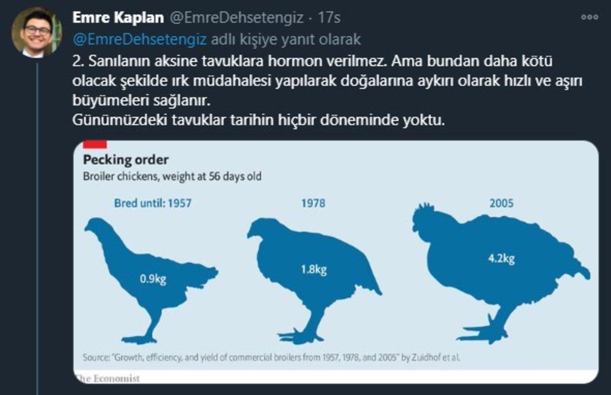 Endüstriyel Tavukların Üretimi Hakkında Öğrenince Dehşete Düşeceğiniz Bilgiler