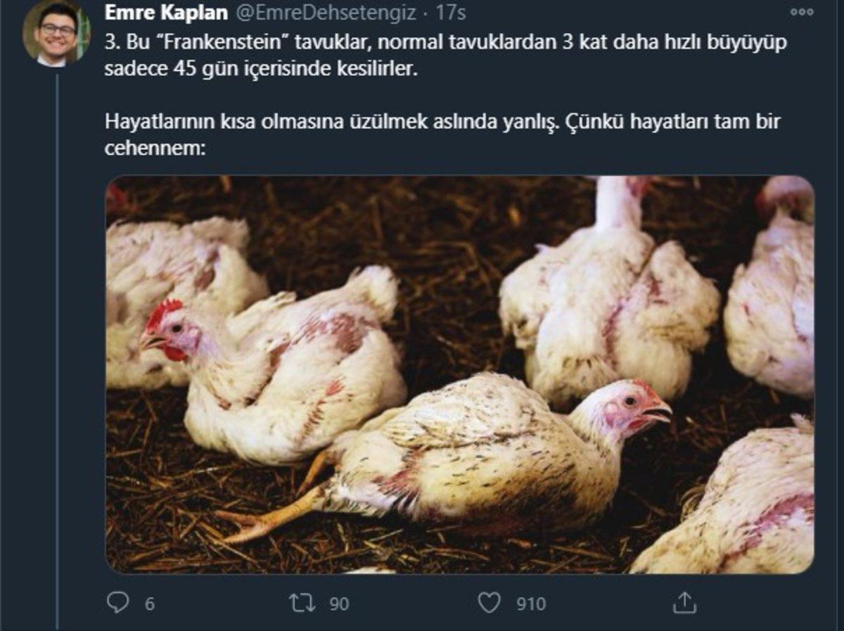 Endüstriyel Tavukların Üretimi Hakkında Öğrenince Dehşete Düşeceğiniz Bilgiler
