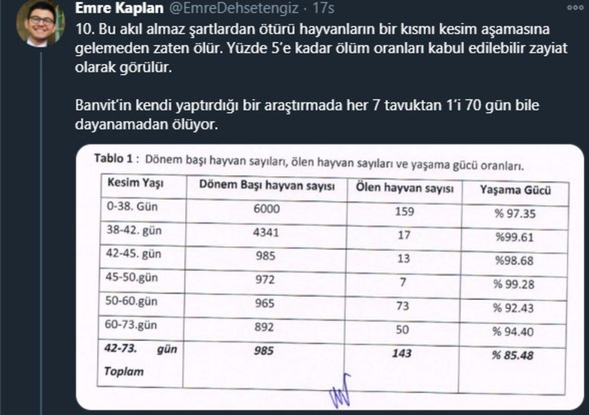 Endüstriyel Tavukların Üretimi Hakkında Öğrenince Dehşete Düşeceğiniz Bilgiler