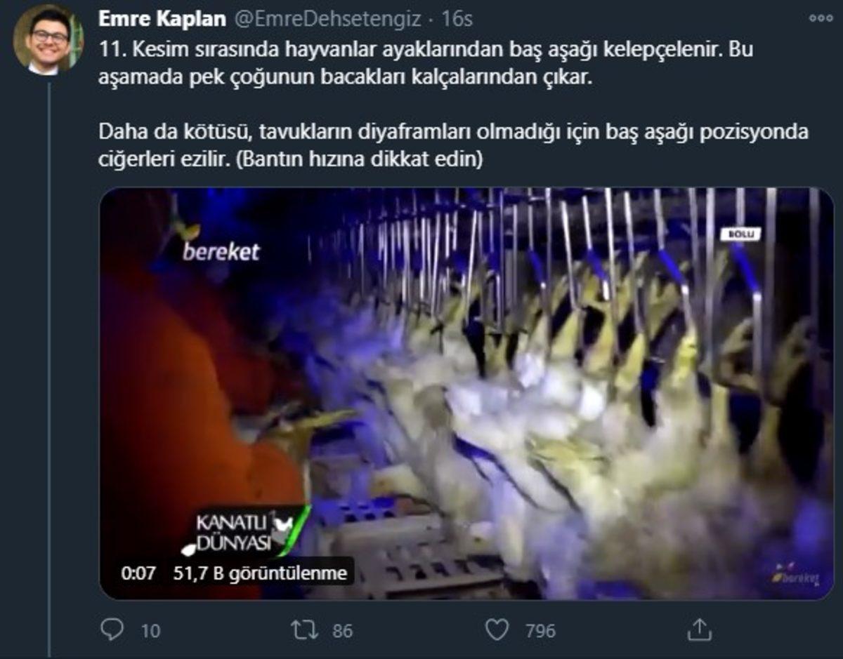 Endüstriyel Tavukların Üretimi Hakkında Öğrenince Dehşete Düşeceğiniz Bilgiler