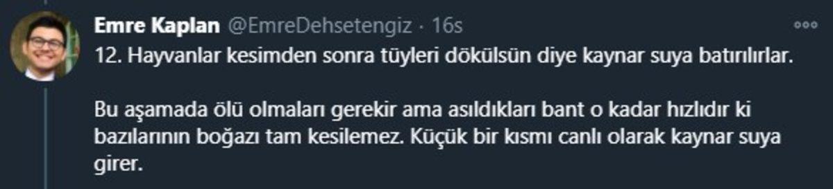 Endüstriyel Tavukların Üretimi Hakkında Öğrenince Dehşete Düşeceğiniz Bilgiler