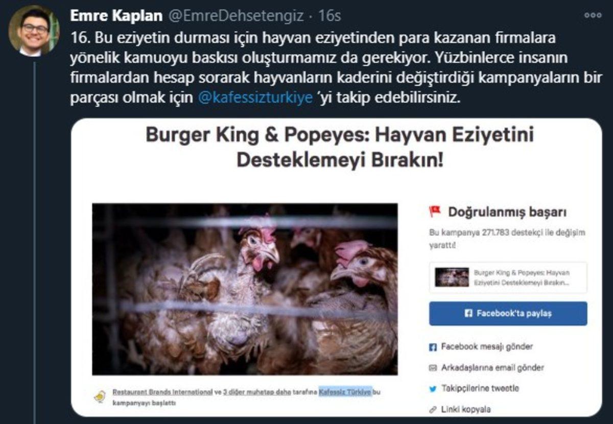 Endüstriyel Tavukların Üretimi Hakkında Öğrenince Dehşete Düşeceğiniz Bilgiler