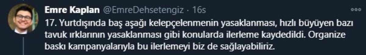 Endüstriyel Tavukların Üretimi Hakkında Öğrenince Dehşete Düşeceğiniz Bilgiler