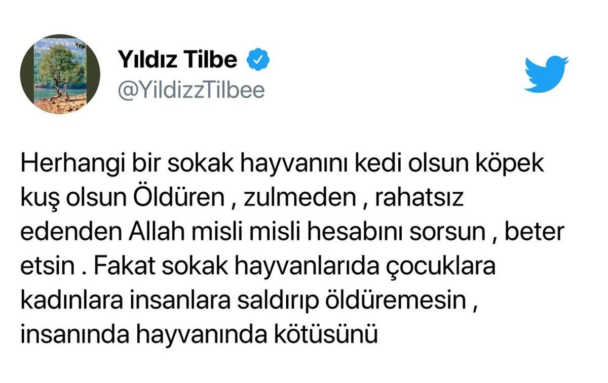 Sokak Hayvanlarına Zehirli Et Verilmesini Söyleyen Yıldız Tilbe Sosyal Medyayı Öfkelendirdi: İşte Gelen Tepkiler