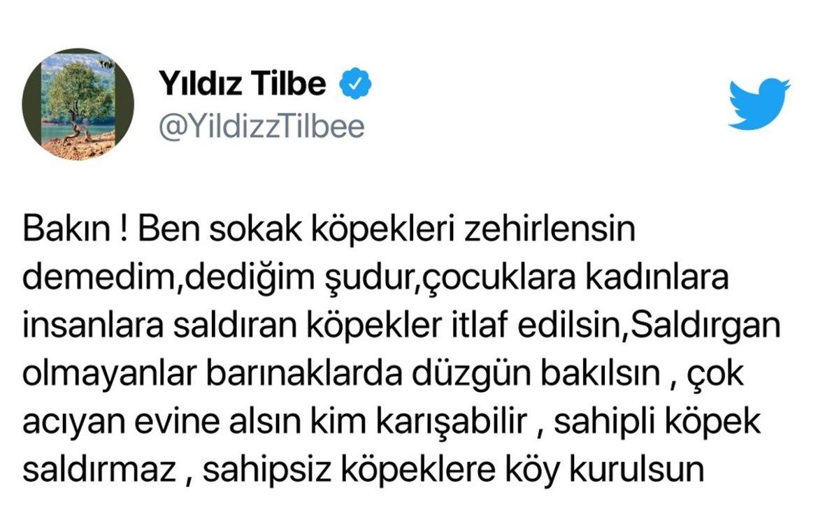 Sokak Hayvanlarına Zehirli Et Verilmesini Söyleyen Yıldız Tilbe Sosyal Medyayı Öfkelendirdi: İşte Gelen Tepkiler