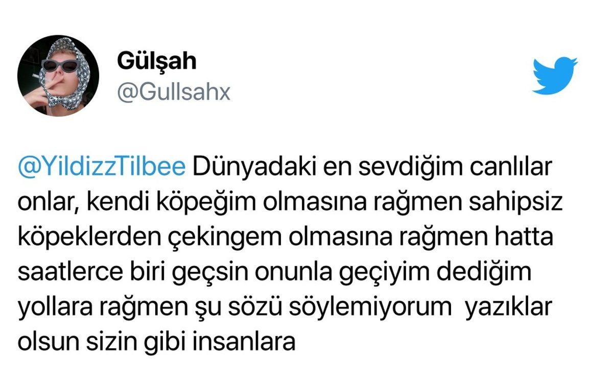 Sokak Hayvanlarına Zehirli Et Verilmesini Söyleyen Yıldız Tilbe Sosyal Medyayı Öfkelendirdi: İşte Gelen Tepkiler