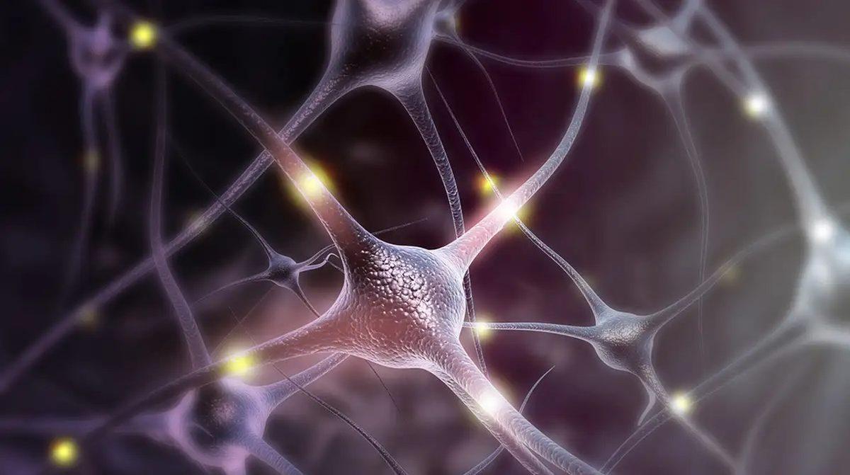 Kompleks Kararlar Vermek O Kadar da Zor Değilmiş: Solucanların Kompleks Kararlar Verebildiği Keşfedildi