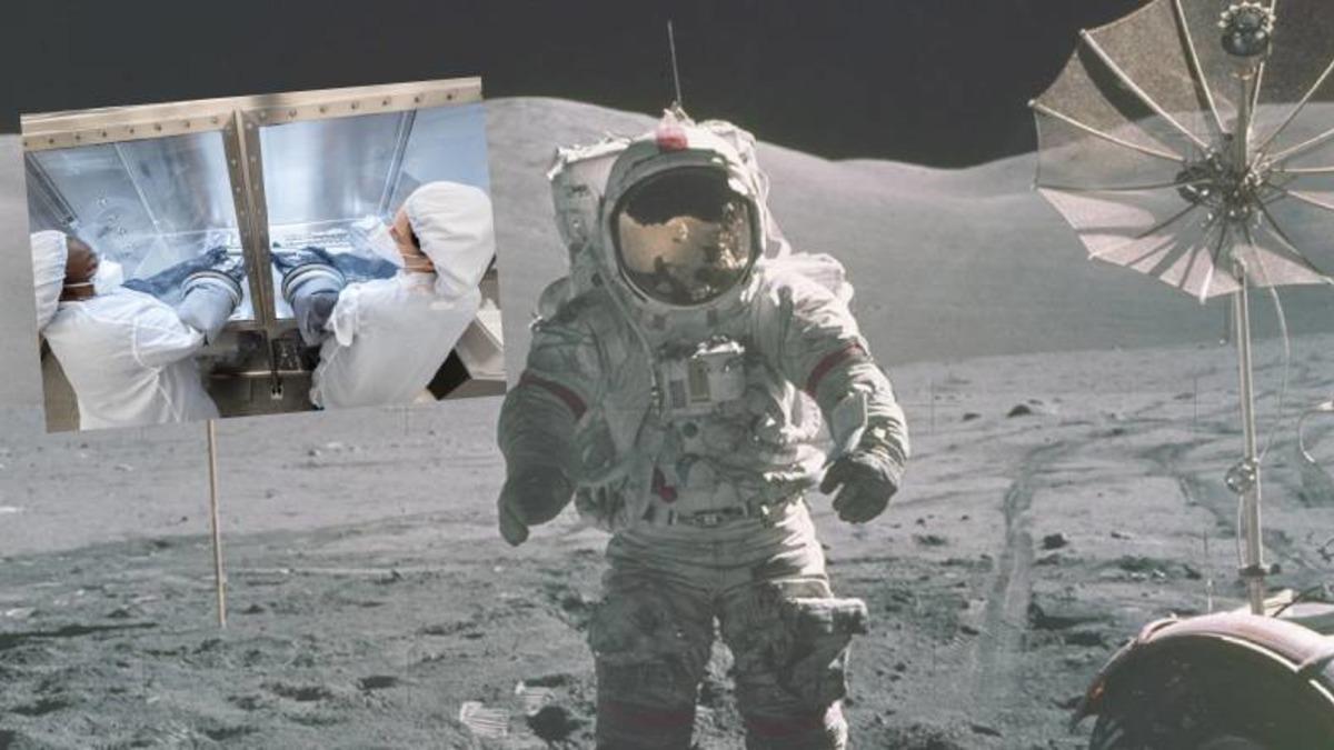 Ay’dan Getirilen Numunelerden Biri, 50 Yıl Sonra Açıldı: NASA’nın Ay Misyonu İçin Önemli Veriler Sunacak