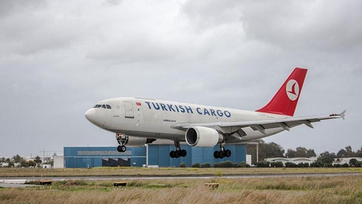 Kalkar Kalkmaz Kuş Sürüsüne Giren THY Uçağı Hasar Aldı ve Acil İniş Yaptı