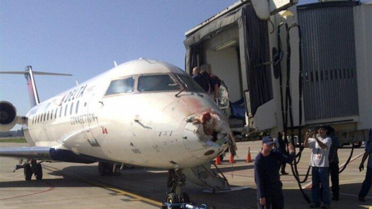 Kalkar Kalkmaz Kuş Sürüsüne Giren THY Uçağı Hasar Aldı ve Acil İniş Yaptı