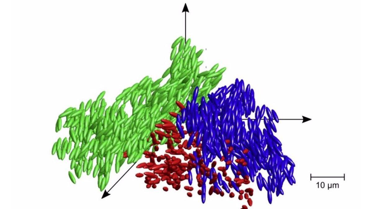 Yeni Bir Araştırmaya Göre Maddenin Yeni Hali, Sıvı Cam Olabilir