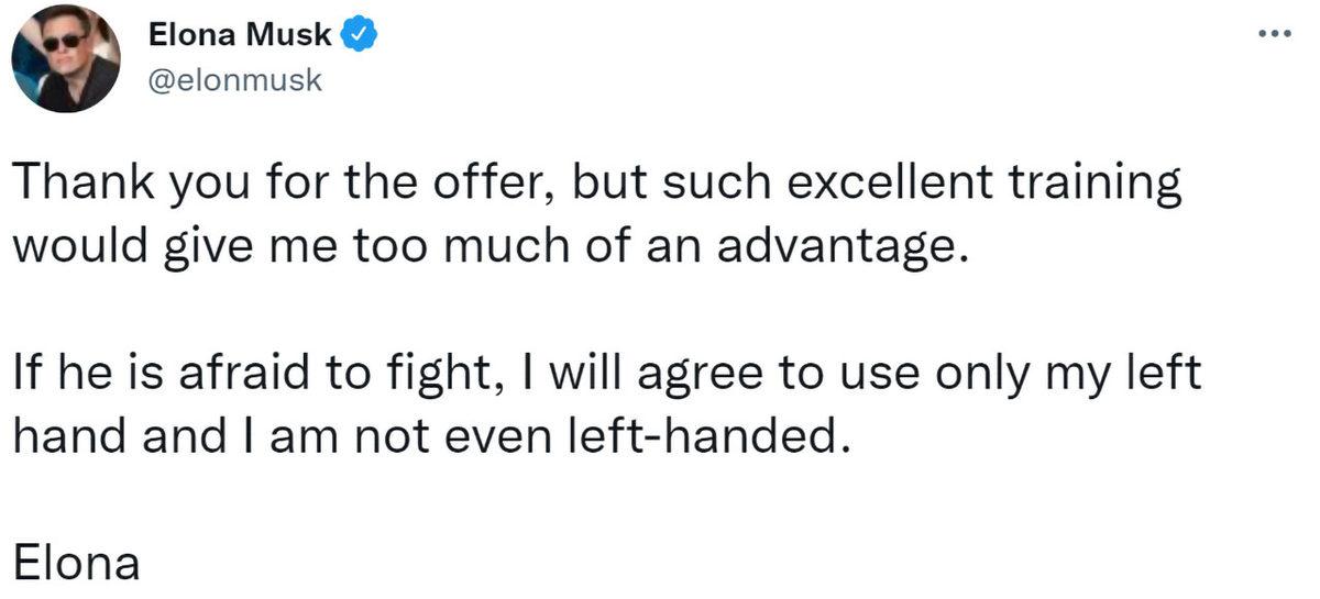 Putin’i Teke Tek Dövüşe Çağıran Elon Musk Rahat Durmuyor: 