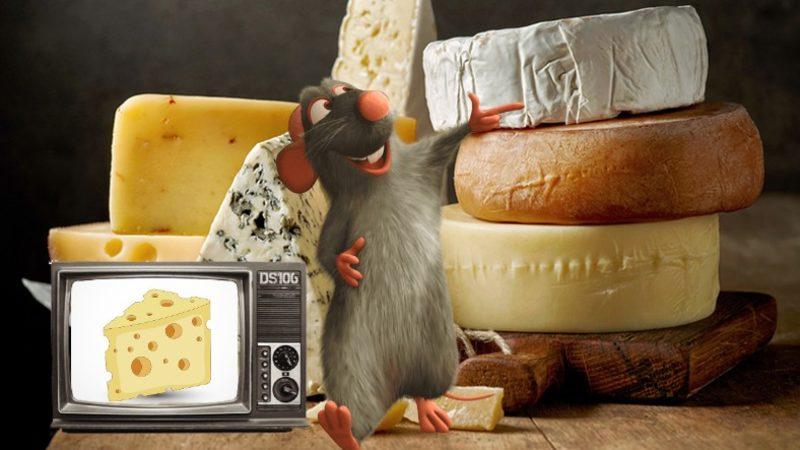 Farelerin Gördükleri Nesneleri Bizim Gibi Algılayabildiği ve 3 Boyutlu Nesneleri Ayırt Edebildiği Ortaya Çıktı