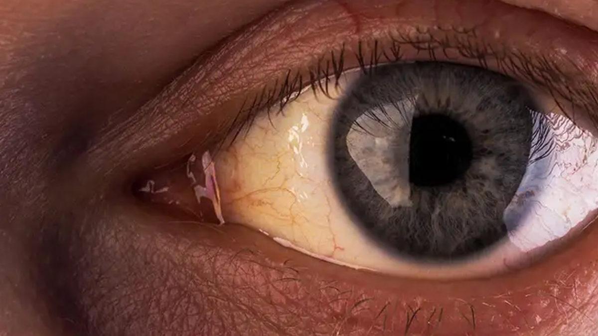 Biri Bizi Gözetliyor: Birinin Bizi İzlediğini Nasıl Hissedebiliyoruz?