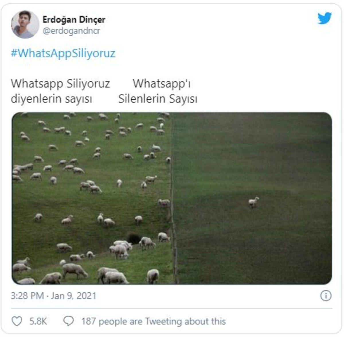 WhatsAppSiliyoruz Etiketiyle Sosyal Medyada Yapılan Paylaşımlar