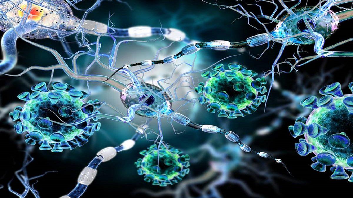 Bilim İnsanları, Virüslerin Hastalıklara Sebep Olmasını Engelleyebilecek Önemli Bir Keşif Yaptı