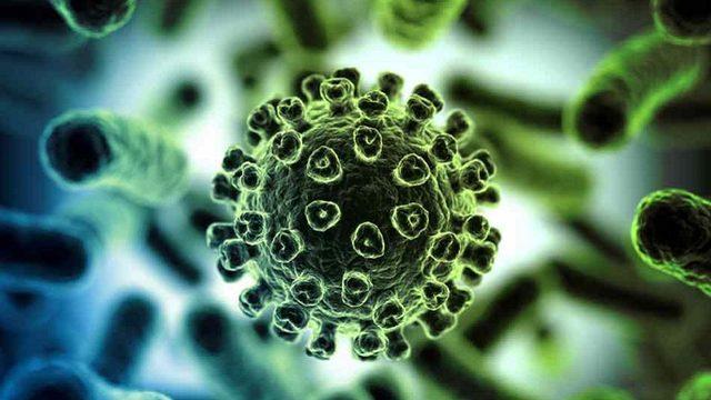 Bilim İnsanları, Virüslerin Hastalıklara Sebep Olmasını Engelleyebilecek Önemli Bir Keşif Yaptı