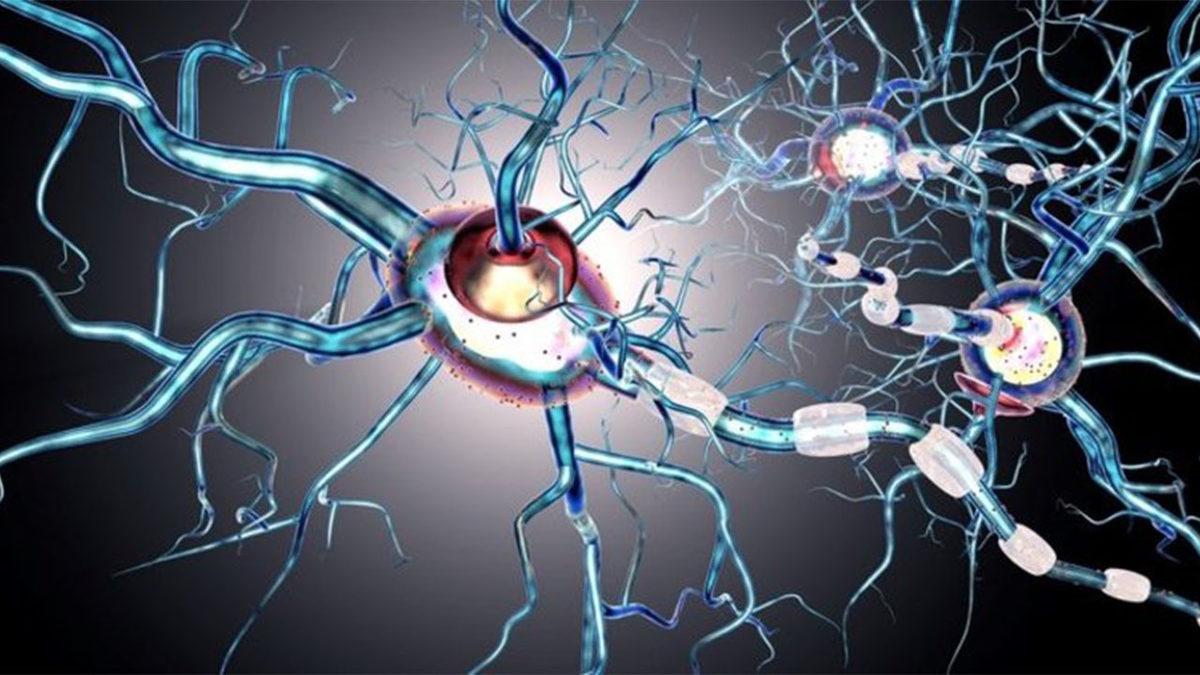 Özlem Türeci ve Uğur Şahin’in Geliştirdiği mRNA Aşısı, Tedavisi Olmayan MS Hastalığı İçin Umut Oluyor