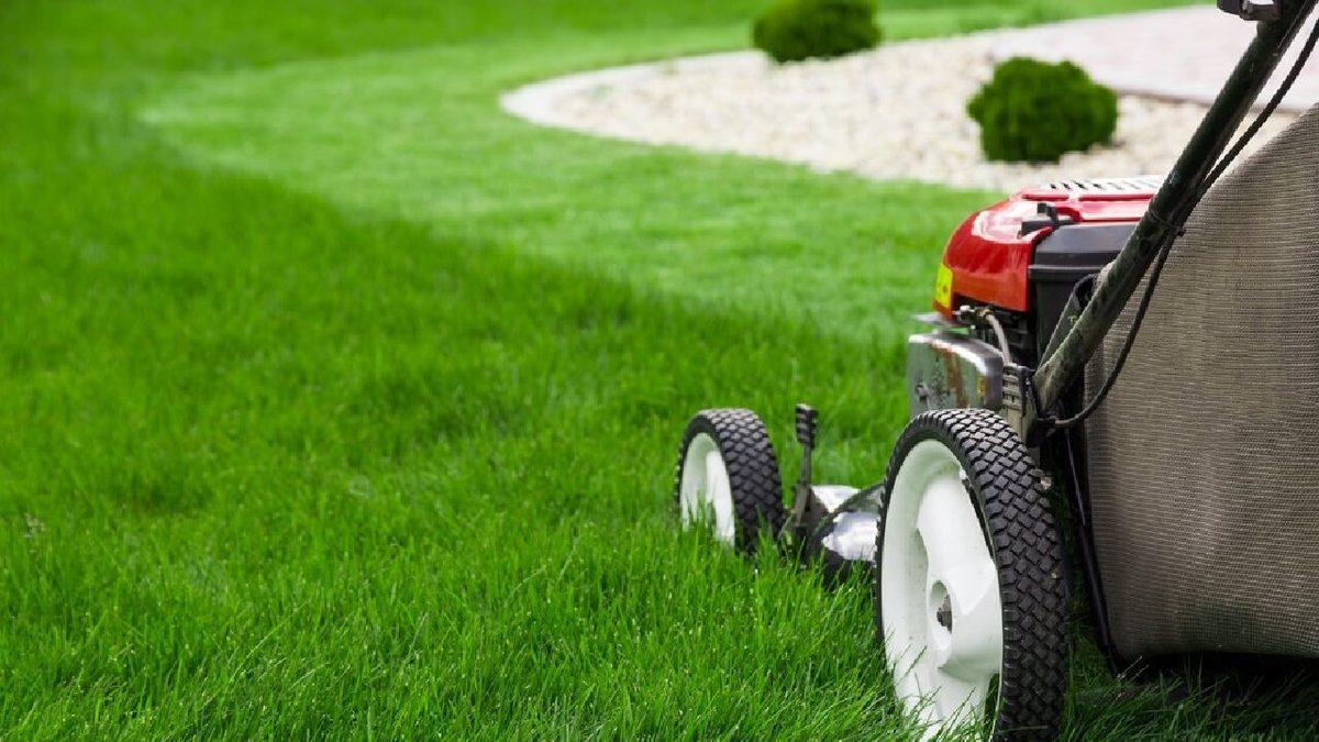 Pringles’ın Patates Cipsi mi Olduğunu Sanıyorsun? Öğrenince 