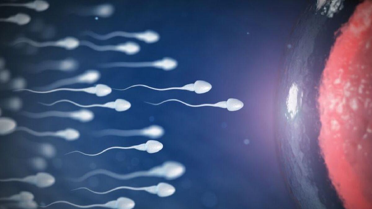 Pringles’ın Patates Cipsi mi Olduğunu Sanıyorsun? Öğrenince 