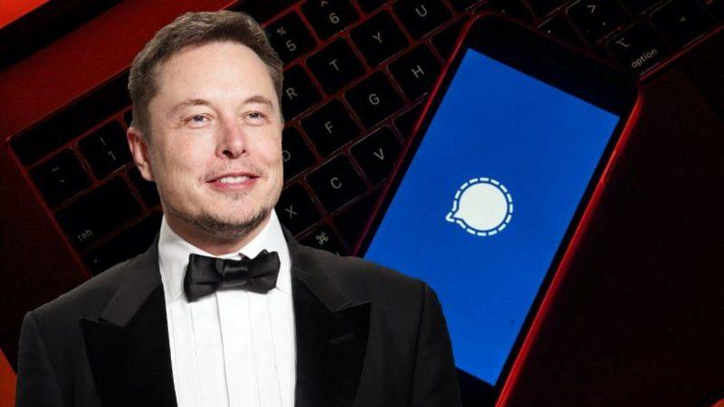 Elon Musk’ın Önerisi, Yanlış Bir ’Signal’in Hisselerine 13 Kat Değer Kazandırdı