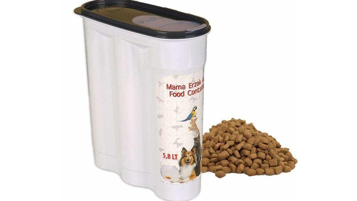 Kedi Sahiplerinin En Sık Yaptığı 25 Hata