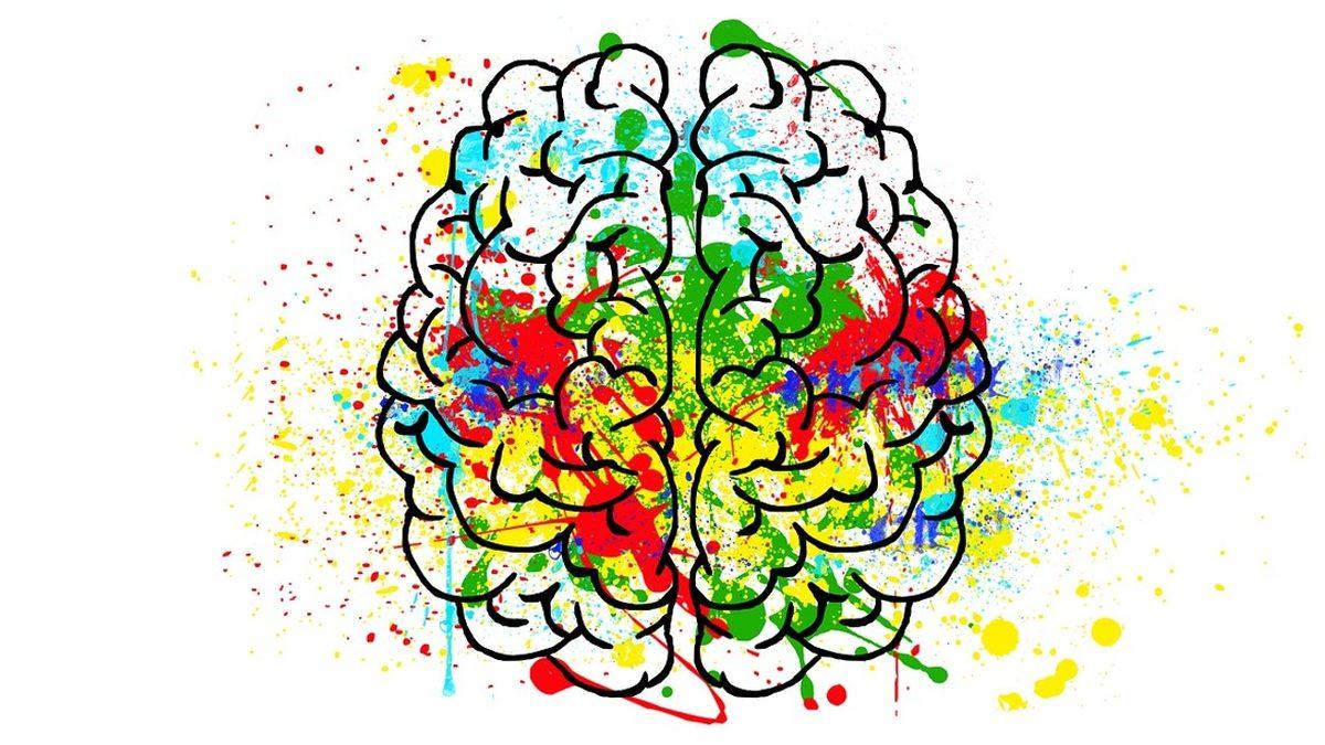 İnsan Beyni Hakkında Birbirinden Şaşırtıcı Az Bilinen 11 Gerçek