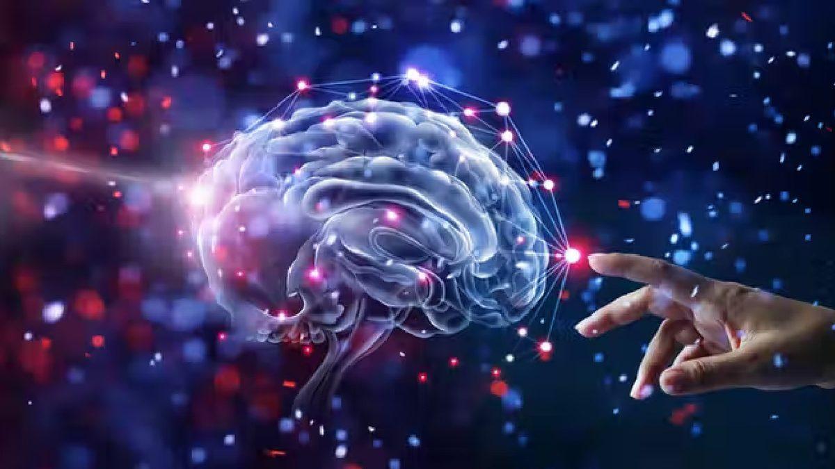 İnsan Beyni Hakkında Birbirinden Şaşırtıcı Az Bilinen 11 Gerçek