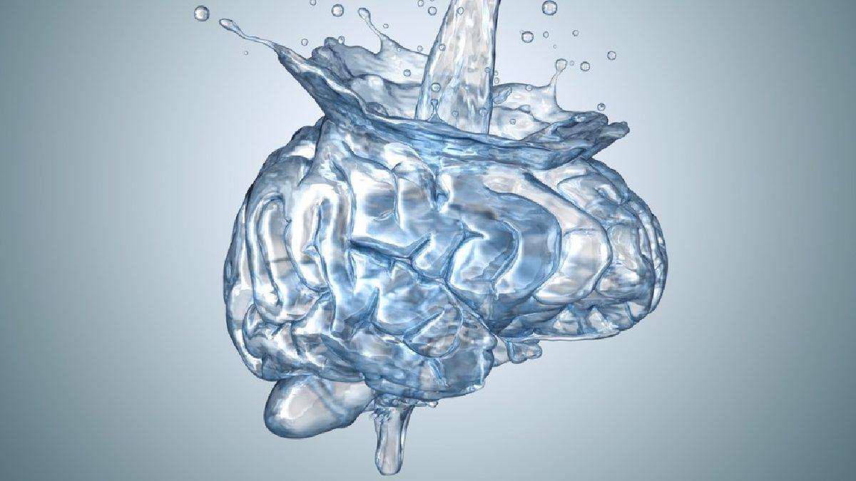 İnsan Beyni Hakkında Birbirinden Şaşırtıcı Az Bilinen 11 Gerçek