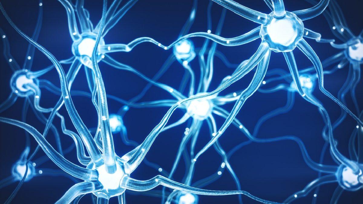 İnsan Beyni Hakkında Birbirinden Şaşırtıcı Az Bilinen 11 Gerçek