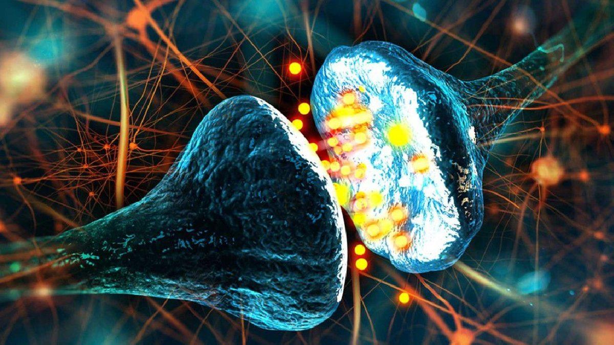 İnsan Beyni Hakkında Birbirinden Şaşırtıcı Az Bilinen 11 Gerçek