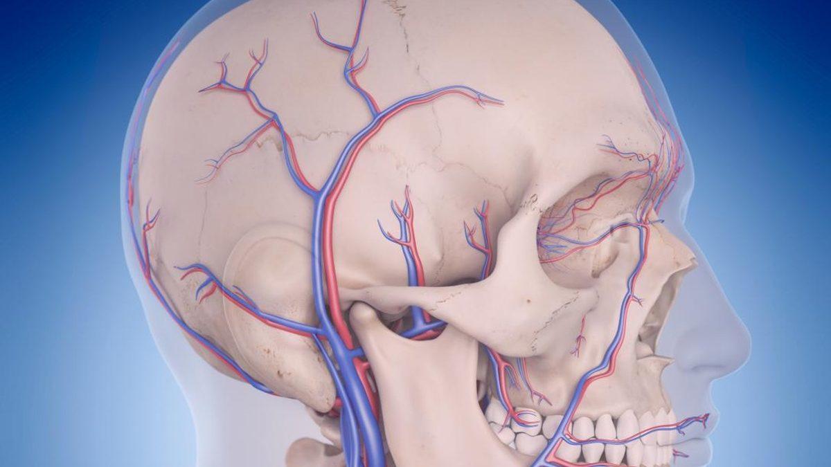 İnsan Beyni Hakkında Birbirinden Şaşırtıcı Az Bilinen 11 Gerçek