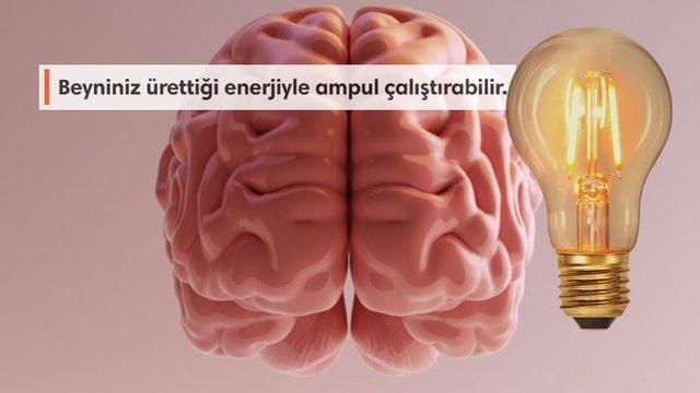 İnsan Beyni Hakkında Birbirinden Şaşırtıcı Az Bilinen 11 Gerçek