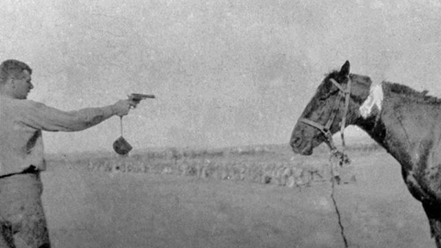 Sakatlanan Atlar Neden Vurulur? Kolaya Kaçmak mı, Yoksa Onların İyiliği İçin mi?