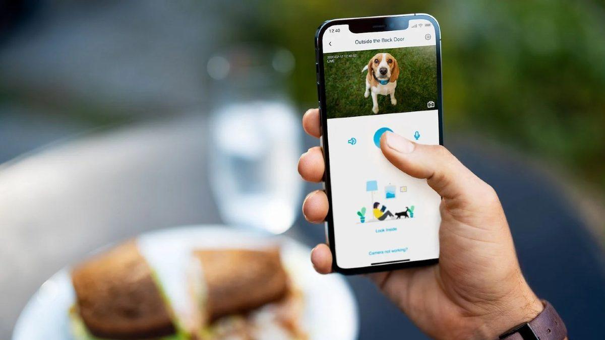 Evcil Hayvanların Sahipleri Olmadığında da Eve Girip Çıkmasını Sağlayan 