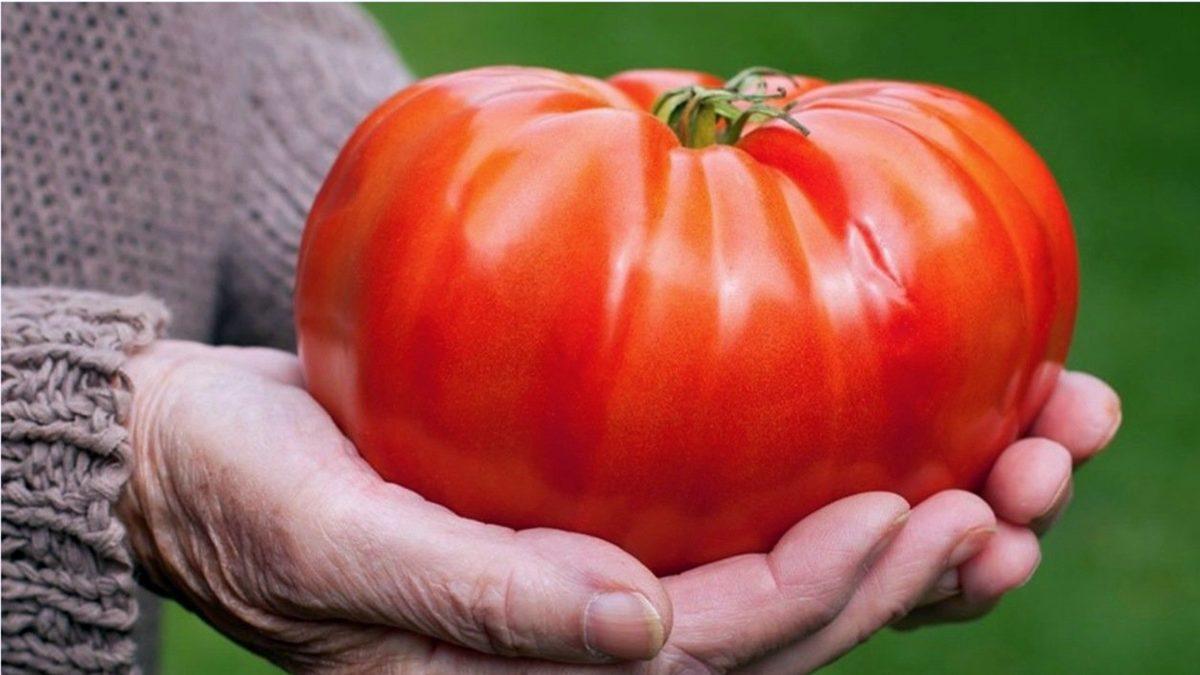 Sebze ve Meyveler Ne Oldu da Yıllar İçinde Lezzetlerini Kaybetti?