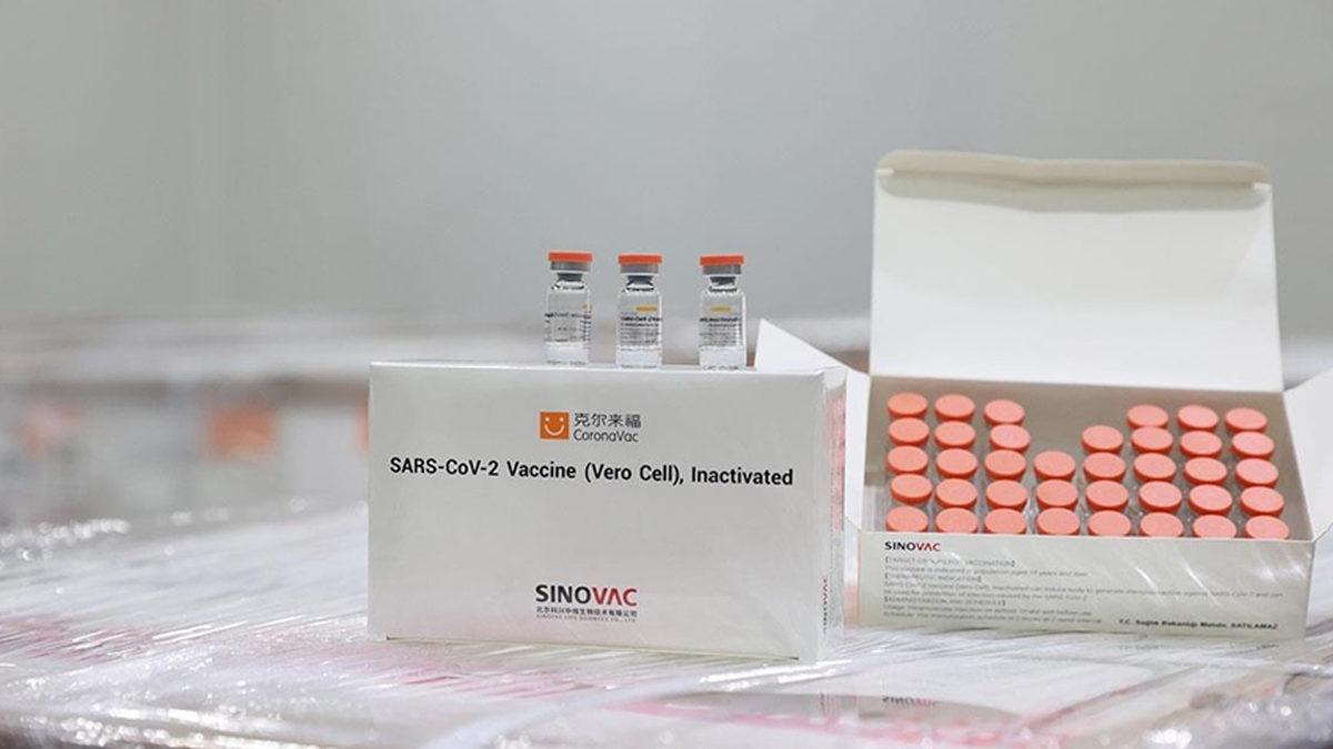 Türkiye İlaç ve Tıbbi Cihaz Kurumu, CoronaVac Aşısı İçin ’Acil Kullanım Onayı’ Verdi