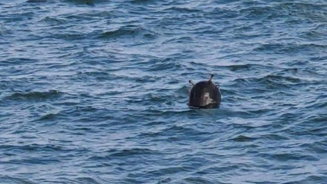 İstanbul Boğazı’nda Görülen Cismin Mayın Olduğu ve Etkisiz Hale Getirildiği Açıklandı: İkinci Mayın Alarmı! (Güncelleme)