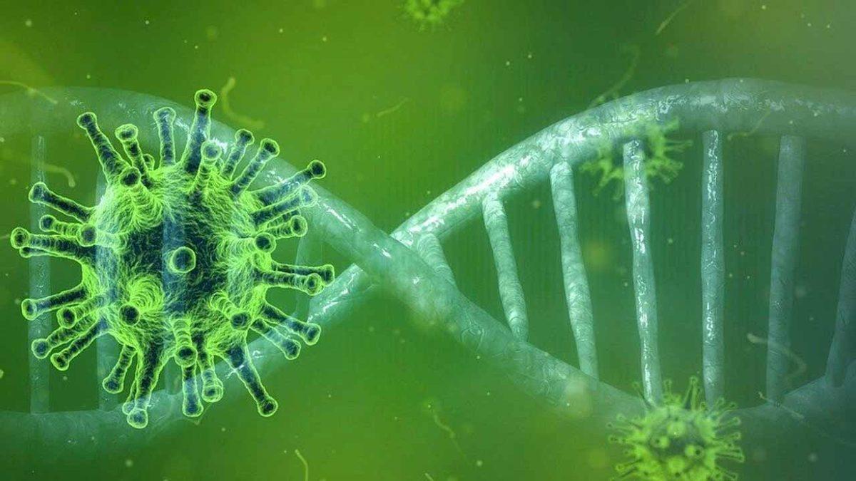 DSÖ, Mutasyonlu Koronavirüs Varyantlarının Hızla Yayıldığını Açıkladı