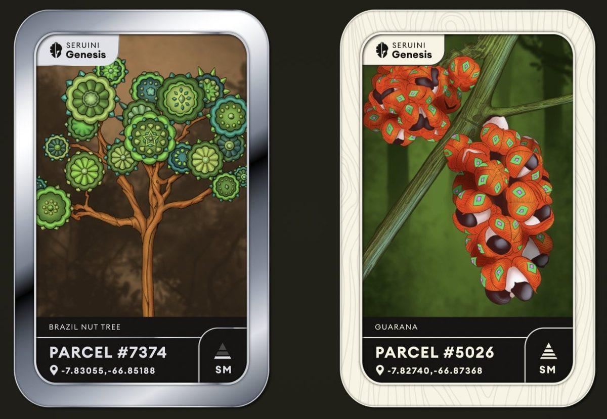 Amazon Ormanlarını NFT’ler Kurtarabilir: Satılan Varlıklar Ormanlık Alanların Korunmasını Finanse Edecek