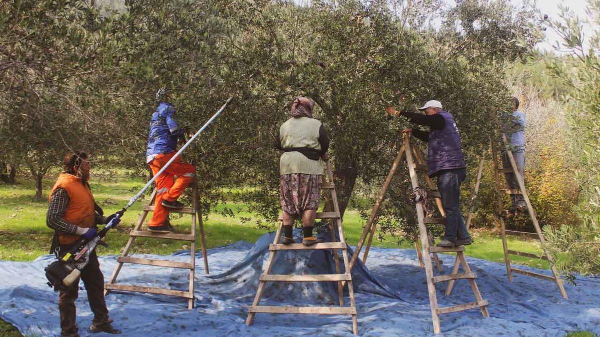 Trendyol, Tek Dokunuşla Verdiğimiz Siparişlerin Kapımıza Gelene Kadar Geçirdiği Şaşırtıcı Süreci Açıkladı