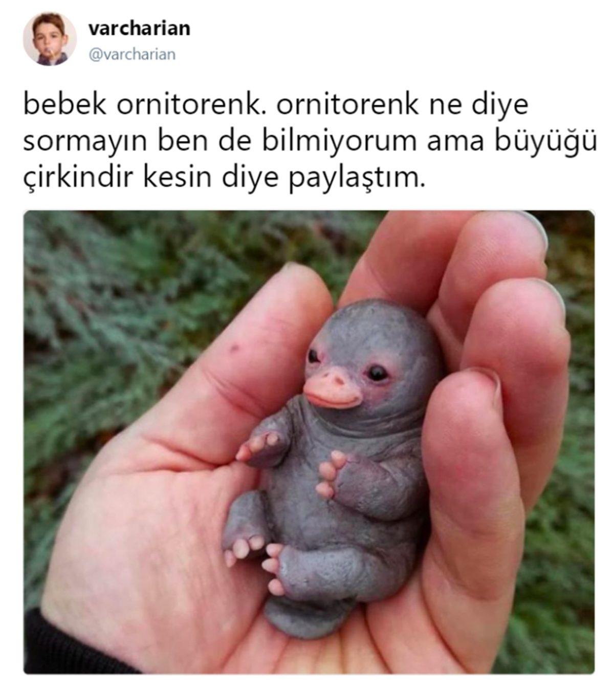 Sosyal Medyada Bazı Hesapların Etkileşim Almak İçin Sık Sık Paylaştıkları 16 Fake Görsel