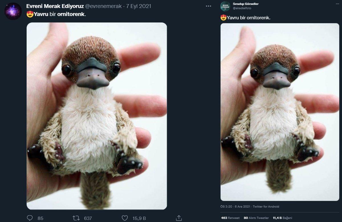 Sosyal Medyada Bazı Hesapların Etkileşim Almak İçin Sık Sık Paylaştıkları 16 Fake Görsel