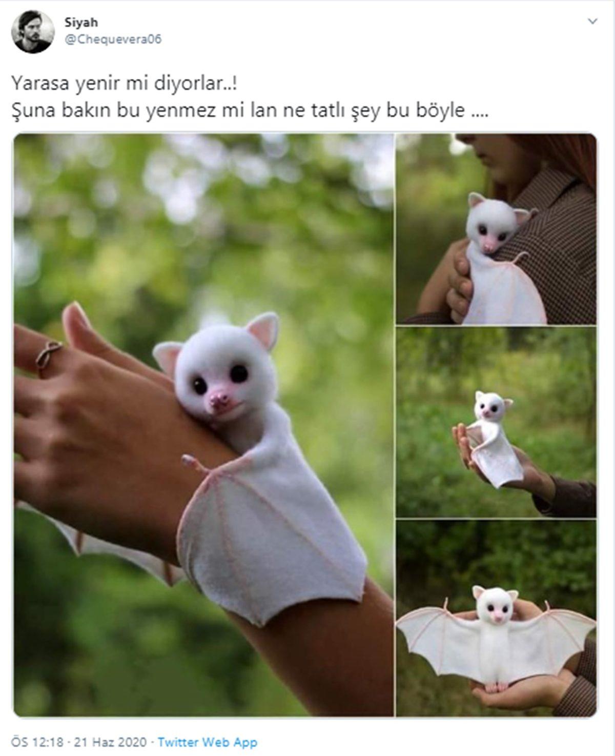 Sosyal Medyada Bazı Hesapların Etkileşim Almak İçin Sık Sık Paylaştıkları 16 Fake Görsel