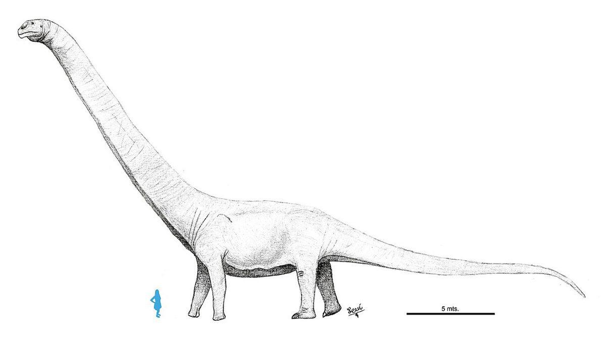 Bilim İnsanları, Bu Zamana Kadarki En Büyük Dinozor Fosilini Keşfetti