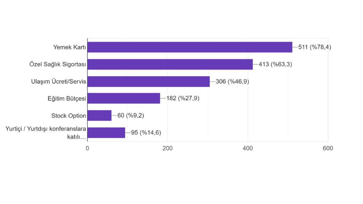 Türkiye’deki Yazılımcılar, Ortalama Kaç TL Maaş Alıyor?