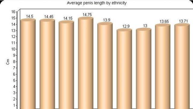 İşte Bunlar Hep Evrim: Siyahi Erkeklerin Cinsel Organları Neden Daha Uzundur?